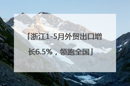 浙江1-5月外贸出口增长6.5%，领跑全国