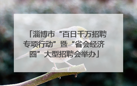 淄博市“百日千万招聘专项行动”暨“省会经济圈”大型招聘会举办