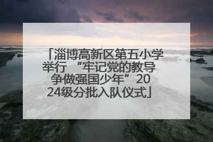 淄博高新区第五小学举行 “牢记党的教导 争做强国少年”2024级分批入队仪式