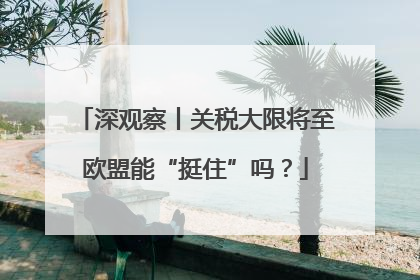深观察丨关税大限将至欧盟能“挺住”吗？