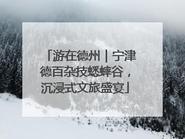 游在德州｜宁津德百杂技蟋蟀谷，沉浸式文旅盛宴