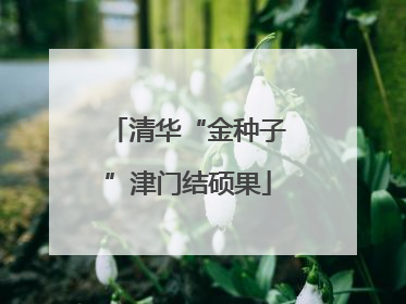 清华“金种子”津门结硕果