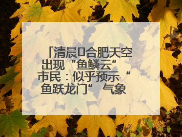 清晨﻿合肥天空出现“鱼鳞云” 市民：似乎预示“鱼跃龙门” 气象专家科普
