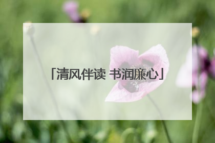 清风伴读 书润廉心