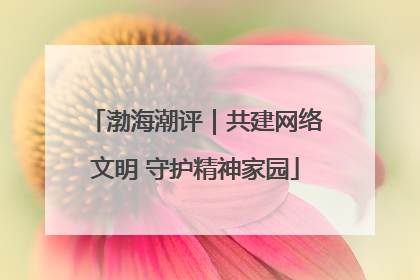 渤海潮评｜共建网络文明 守护精神家园