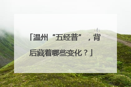 温州“五经普”，背后藏着哪些变化？