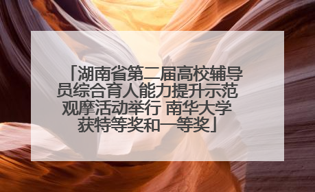 湖南省第二届高校辅导员综合育人能力提升示范观摩活动举行 南华大学获特等奖和一等奖