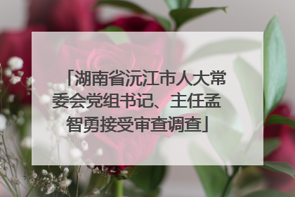 湖南省沅江市人大常委会党组书记、主任孟智勇接受审查调查