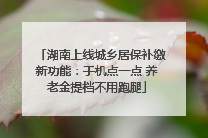 湖南上线城乡居保补缴新功能：手机点一点 养老金提档不用跑腿