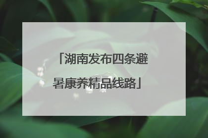湖南发布四条避暑康养精品线路
