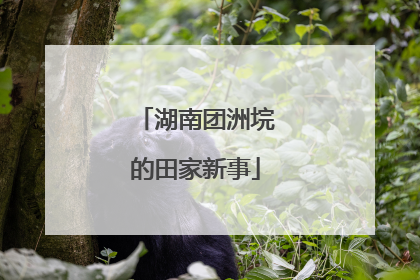 湖南团洲垸的田家新事