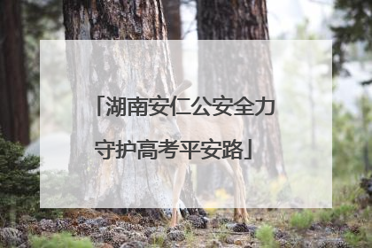 湖南安仁公安全力守护高考平安路