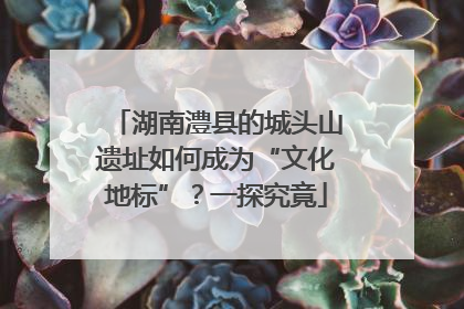 湖南澧县的城头山遗址如何成为“文化地标”？一探究竟