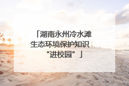 湖南永州冷水滩生态环境保护知识“进校园”