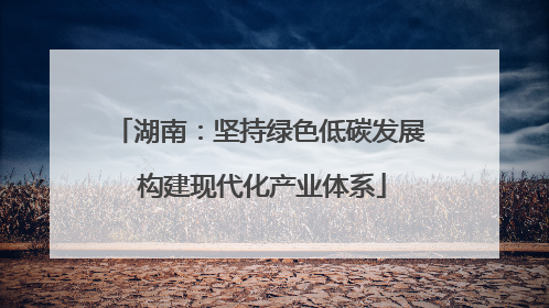 湖南：坚持绿色低碳发展 构建现代化产业体系