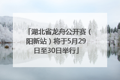 湖北省龙舟公开赛（阳新站）将于5月29日至30日举行