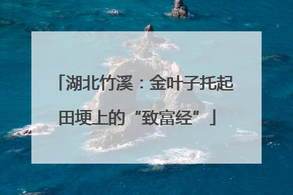湖北竹溪：金叶子托起田埂上的“致富经”