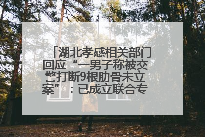湖北孝感相关部门回应“一男子称被交警打断9根肋骨未立案”：已成立联合专班开展工作