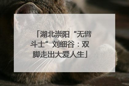 湖北崇阳“无臂斗士”刘细谷：双脚走出大爱人生