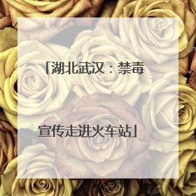 湖北武汉：禁毒宣传走进火车站