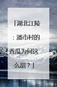 湖北江陵：潘市村的香瓜为何这么甜？