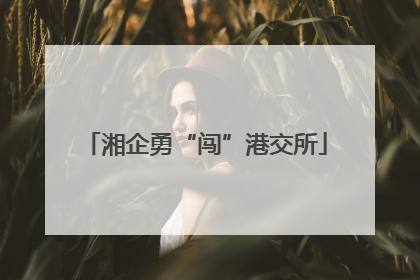 湘企勇“闯”港交所