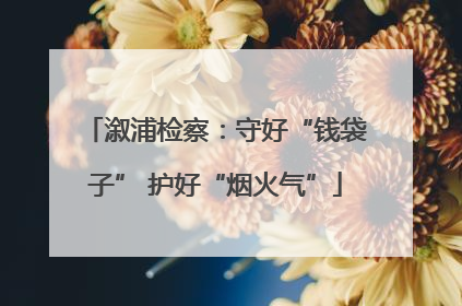 溆浦检察：守好“钱袋子” 护好“烟火气”