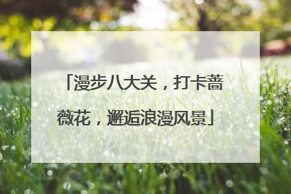 漫步八大关，打卡蔷薇花，邂逅浪漫风景