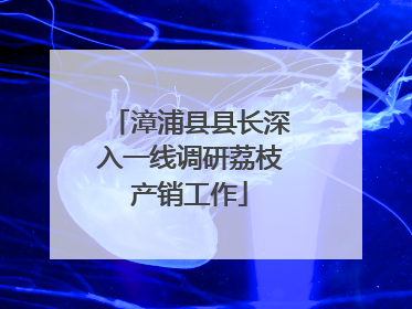 漳浦县县长深入一线调研荔枝产销工作