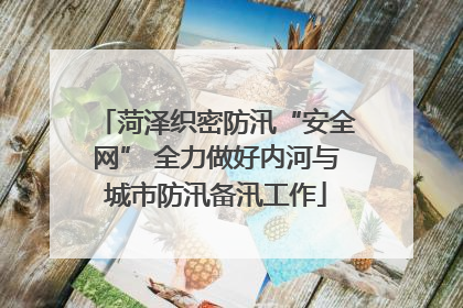 菏泽织密防汛“安全网” 全力做好内河与城市防汛备汛工作