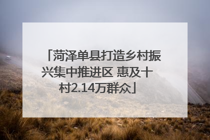 菏泽单县打造乡村振兴集中推进区 惠及十村2.14万群众