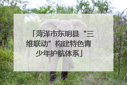 菏泽市东明县“三维联动”构建特色青少年护航体系