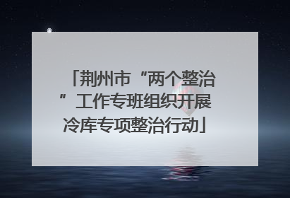 荆州市“两个整治”工作专班组织开展冷库专项整治行动
