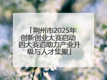 荆州市2025年创新创业大赛启动 四大赛道助力产业升级与人才集聚