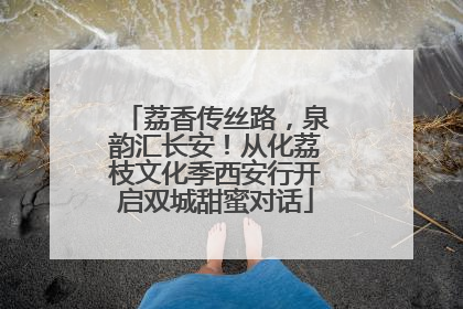 荔香传丝路，泉韵汇长安！从化荔枝文化季西安行开启双城甜蜜对话