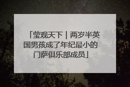 莹观天下｜两岁半英国男孩成了年纪最小的门萨俱乐部成员