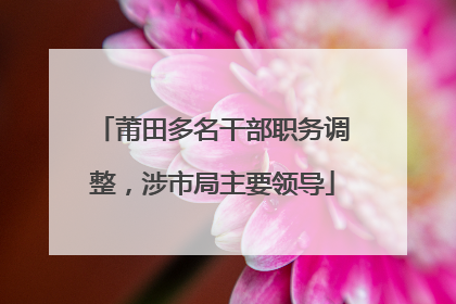 莆田多名干部职务调整，涉市局主要领导