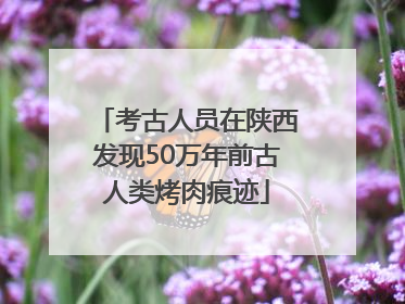 考古人员在陕西发现50万年前古人类烤肉痕迹