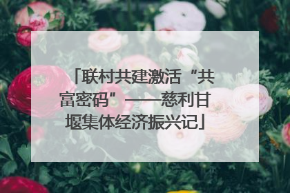 联村共建激活“共富密码”——慈利甘堰集体经济振兴记