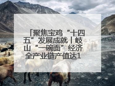 聚焦宝鸡“十四五”发展成就丨岐山“一碗面”经济全产业链产值达162亿元 入选全国典型县