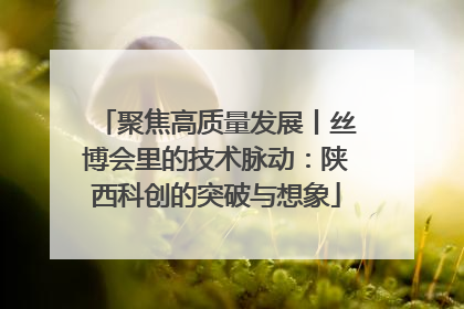 聚焦高质量发展丨丝博会里的技术脉动：陕西科创的突破与想象