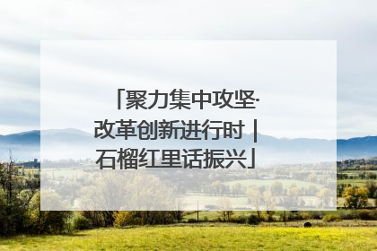 聚力集中攻坚·改革创新进行时｜石榴红里话振兴