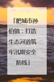 肥城市孙伯镇：打造生态河道筑牢汛期安全防线