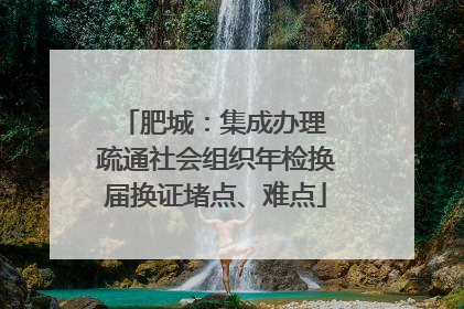 肥城：集成办理 疏通社会组织年检换届换证堵点、难点