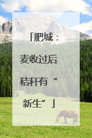 肥城：麦收过后秸秆有“新生”