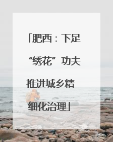 肥西：下足“绣花”功夫 推进城乡精细化治理