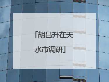 胡昌升在天水市调研
