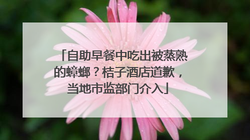 自助早餐中吃出被蒸熟的蟑螂？桔子酒店道歉，当地市监部门介入