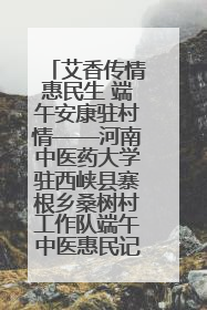 艾香传情惠民生 端午安康驻村情——河南中医药大学驻西峡县寨根乡桑树村工作队端午中医惠民记
