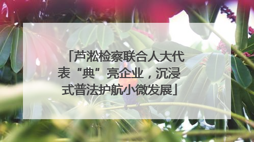 芦淞检察联合人大代表“典”亮企业，沉浸式普法护航小微发展